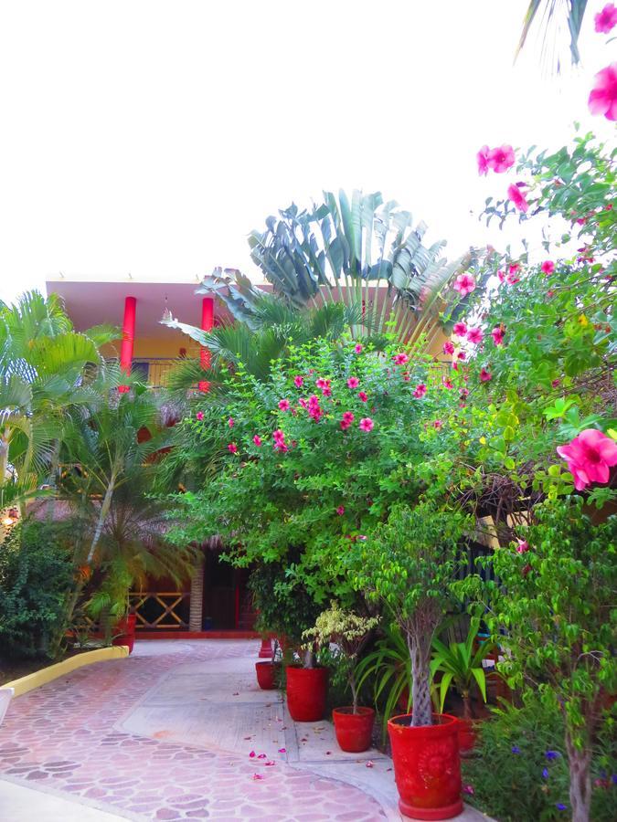 La Cruz Inn La Cruz de Huanacaxtle Eksteriør billede